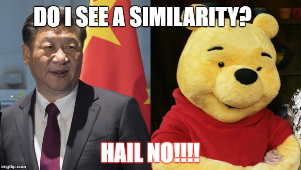 Xi Jinping = winnie da pooh | DO I SEE A SIMILARITY? HAIL NO!!!! | image tagged in xi jinping,political meme,winnie the pooh | made w/ Imgflip meme maker