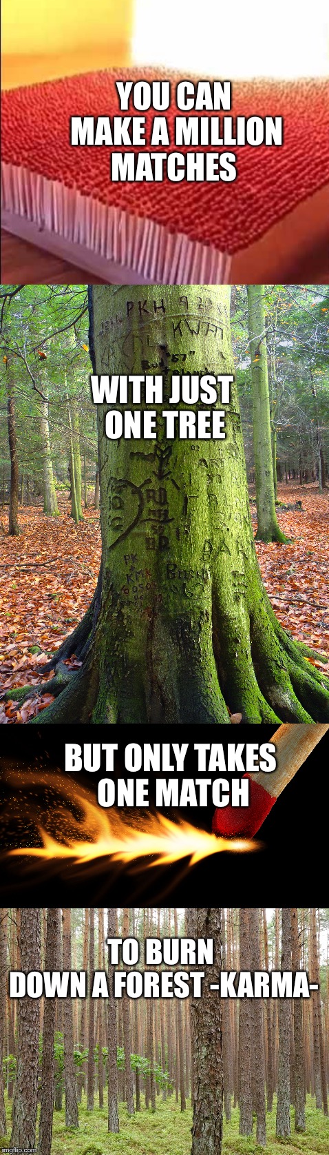 YOU CAN MAKE A MILLION MATCHES; WITH JUST ONE TREE; BUT ONLY TAKES ONE MATCH; TO BURN DOWN A FOREST
-KARMA- | image tagged in imgflip community,karma,memes | made w/ Imgflip meme maker