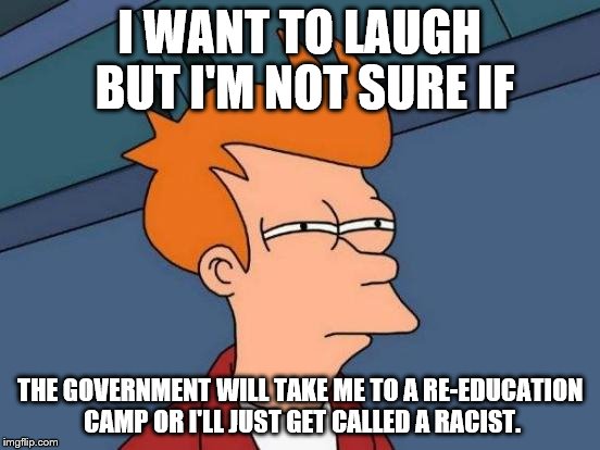 Futurama Fry Meme | I WANT TO LAUGH BUT I'M NOT SURE IF THE GOVERNMENT WILL TAKE ME TO A RE-EDUCATION CAMP OR I'LL JUST GET CALLED A RACIST. | image tagged in memes,futurama fry | made w/ Imgflip meme maker