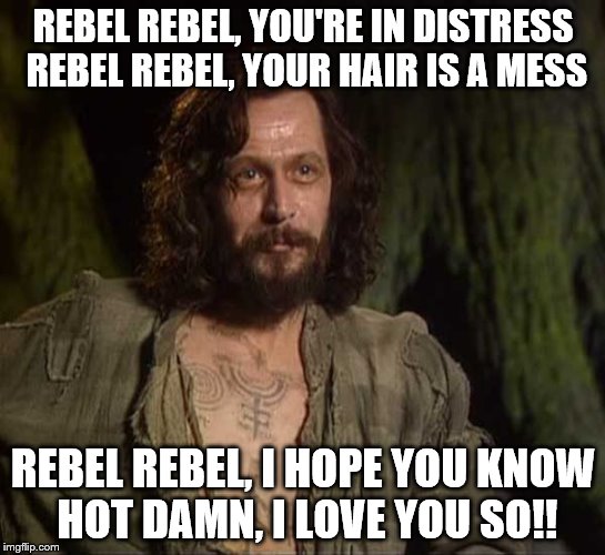 REBEL REBEL, YOU'RE IN DISTRESS REBEL REBEL, YOUR HAIR IS A MESS; REBEL REBEL, I HOPE YOU KNOW HOT DAMN, I LOVE YOU SO!! | image tagged in sb1131959 | made w/ Imgflip meme maker