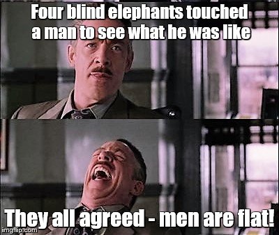 spiderman laugh 2 | Four blind elephants touched a man to see what he was like They all agreed - men are flat! | image tagged in spiderman laugh 2 | made w/ Imgflip meme maker
