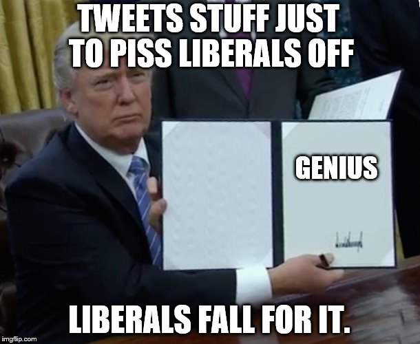 Trump Bill Signing Meme | TWEETS STUFF JUST TO PISS LIBERALS OFF; GENIUS; LIBERALS FALL FOR IT. | image tagged in trump bill signing | made w/ Imgflip meme maker