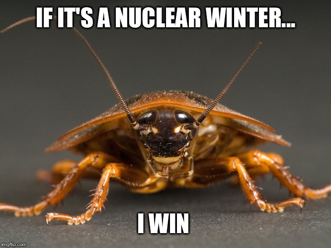 IF IT'S A NUCLEAR WINTER... I WIN | made w/ Imgflip meme maker