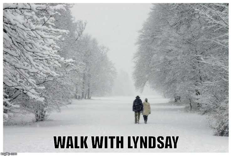 WALK WITH LYNDSAY | made w/ Imgflip meme maker