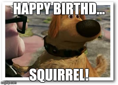 HAPPY BIRTHD... SQUIRREL! | made w/ Imgflip meme maker