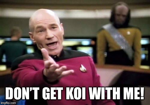 Picard Wtf Meme | DON’T GET KOI WITH ME! | image tagged in memes,picard wtf | made w/ Imgflip meme maker