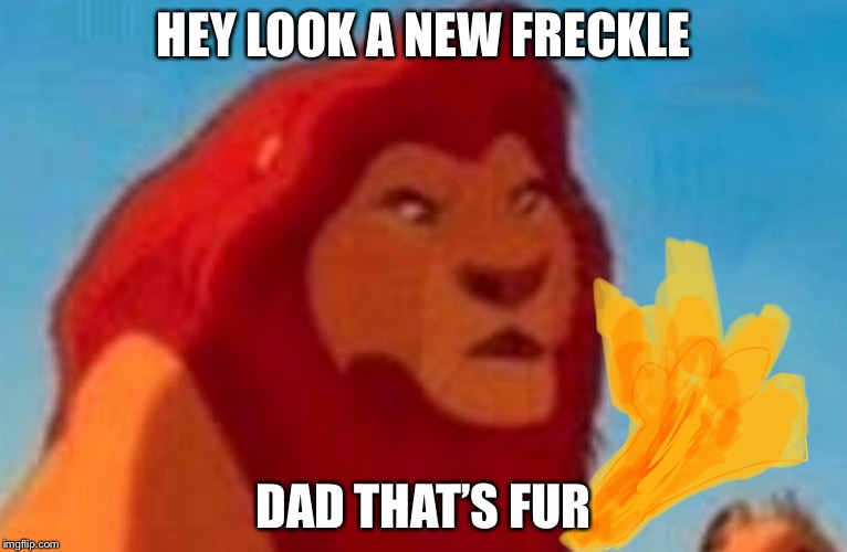 HEY LOOK A NEW FRECKLE DAD THAT’S FUR | made w/ Imgflip meme maker