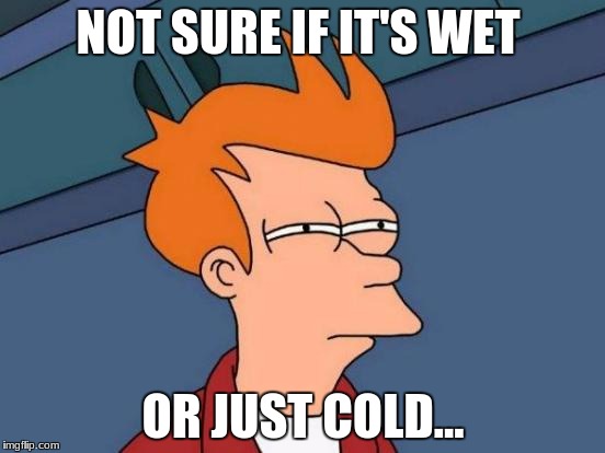 Futurama Fry Meme | NOT SURE IF IT'S WET; OR JUST COLD... | image tagged in memes,futurama fry | made w/ Imgflip meme maker