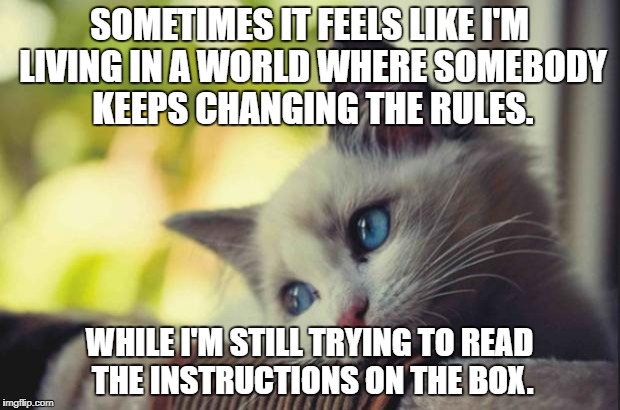 Sad cat | SOMETIMES IT FEELS LIKE I'M LIVING IN A WORLD WHERE SOMEBODY KEEPS CHANGING THE RULES. WHILE I'M STILL TRYING TO READ THE INSTRUCTIONS ON THE BOX. | image tagged in sad cat | made w/ Imgflip meme maker