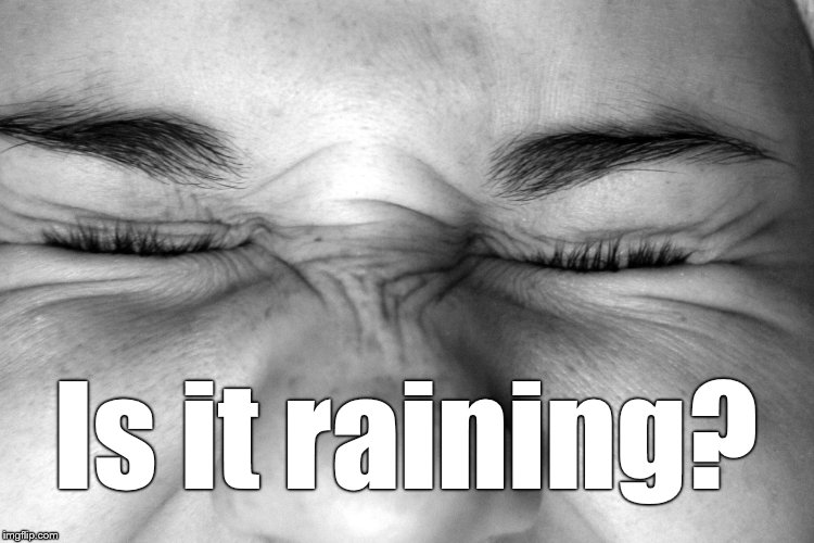 Ewww, I can't watch. | Is it raining? | image tagged in ewww i can't watch. | made w/ Imgflip meme maker