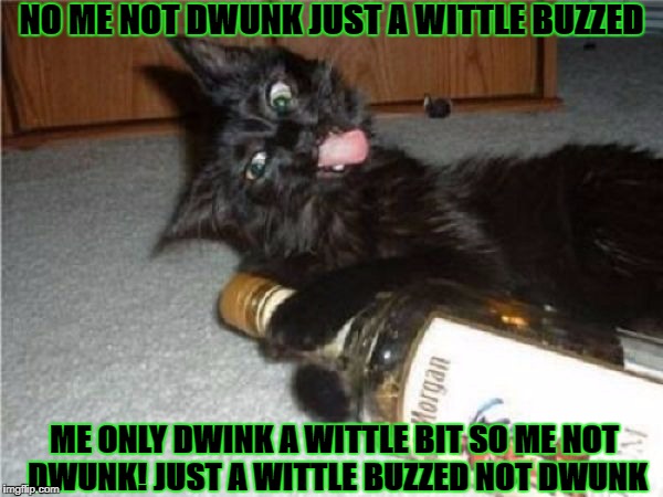 DRUNK KITTEN | NO ME NOT DWUNK JUST A WITTLE BUZZED; ME ONLY DWINK A WITTLE BIT SO ME NOT DWUNK! JUST A WITTLE BUZZED NOT DWUNK | image tagged in drunk kitten | made w/ Imgflip meme maker