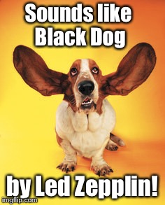 Sounds like Black Dog by Led Zepplin! | made w/ Imgflip meme maker