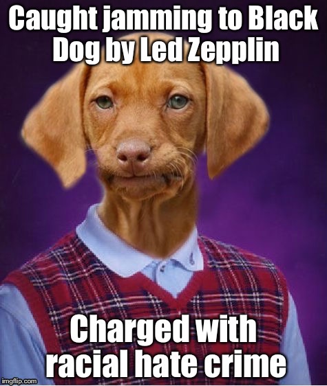 Hey, hey, doggie like the way you groove, gonna make you sweat, eat that prison food! | . | image tagged in bad luck brian dog,memes,funny memes,racial crime,led zeppelin,black dog | made w/ Imgflip meme maker