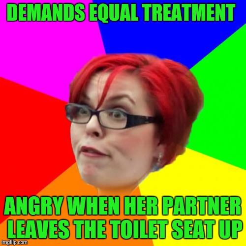angry feminist | DEMANDS EQUAL TREATMENT; ANGRY WHEN HER PARTNER LEAVES THE TOILET SEAT UP | image tagged in angry feminist | made w/ Imgflip meme maker