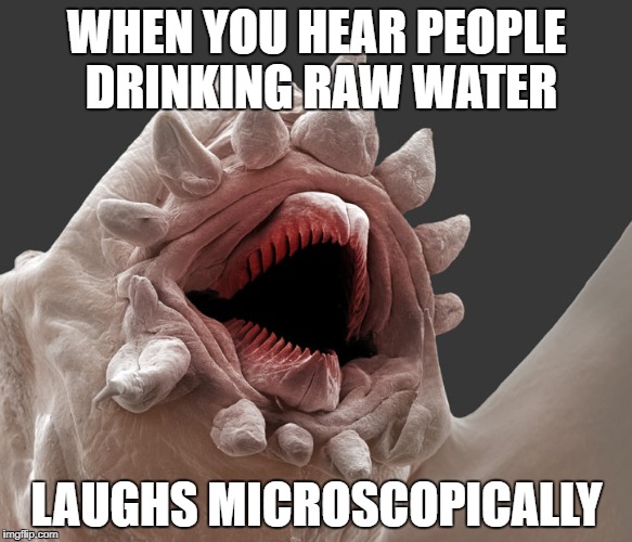 Laughs Microscopically | WHEN YOU HEAR PEOPLE DRINKING RAW WATER; LAUGHS MICROSCOPICALLY | image tagged in laughs microscopically | made w/ Imgflip meme maker