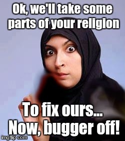 Islam Saving the Aryan Race | Ok, we'll take some parts of your religion; To fix ours... Now, bugger off! | image tagged in christianity,islam,immigration,white people | made w/ Imgflip meme maker