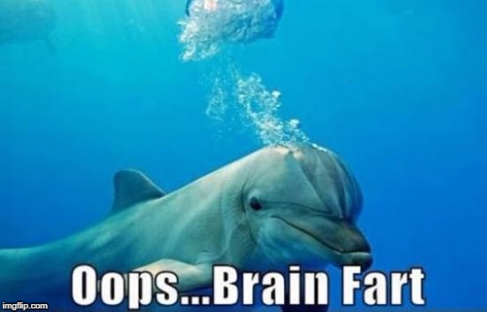 Brain Fart | image tagged in oops brain fart,funny dolphin,brain fart | made w/ Imgflip meme maker