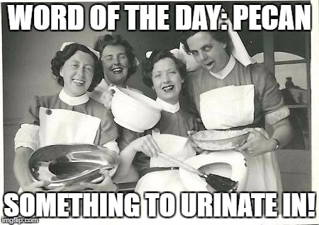 Word of the Day | WORD OF THE DAY: PECAN; SOMETHING TO URINATE IN! | image tagged in word of the day,pecan | made w/ Imgflip meme maker