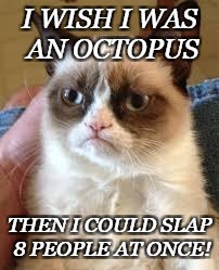 Grumpy Cat Octopus | I WISH I WAS AN OCTOPUS; THEN I COULD SLAP 8 PEOPLE AT ONCE! | image tagged in i wish i was an octopus,grumpy cat,grumpy cat with 8 hands | made w/ Imgflip meme maker