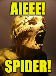 AIEEE! SPIDER! | made w/ Imgflip meme maker
