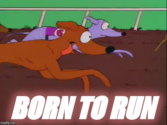 BORN TO RUN | made w/ Imgflip meme maker