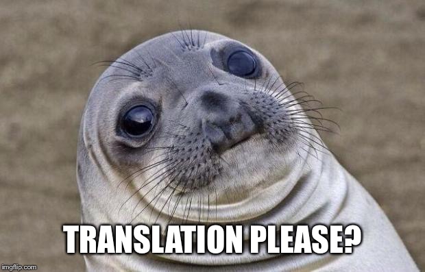 Awkward Moment Sealion Meme | TRANSLATION PLEASE? | image tagged in memes,awkward moment sealion | made w/ Imgflip meme maker