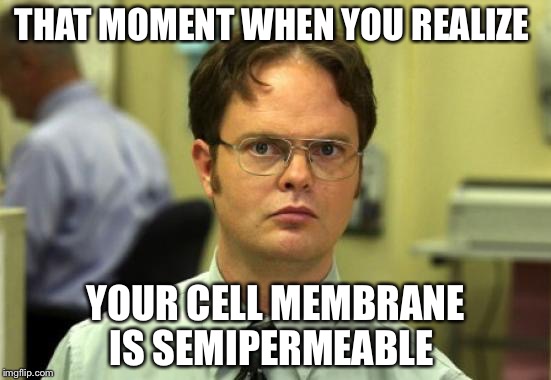 Dwight Schrute | THAT MOMENT WHEN YOU REALIZE; YOUR CELL MEMBRANE IS SEMIPERMEABLE | image tagged in memes,dwight schrute | made w/ Imgflip meme maker