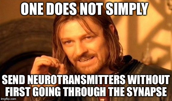 One Does Not Simply | ONE DOES NOT SIMPLY; SEND NEUROTRANSMITTERS WITHOUT FIRST GOING THROUGH THE SYNAPSE | image tagged in memes,one does not simply | made w/ Imgflip meme maker