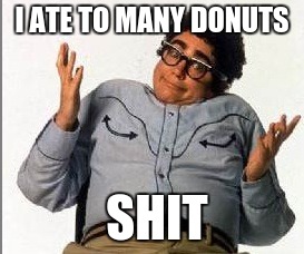 It's Pat | I ATE TO MANY DONUTS; SHIT | image tagged in it's pat | made w/ Imgflip meme maker