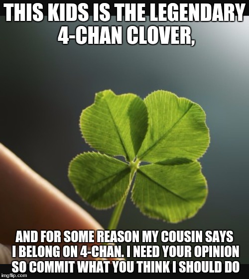 4 Leaf Clover Meme at sascontinentblog Blog