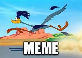 road runner | MEME | image tagged in road runner | made w/ Imgflip meme maker