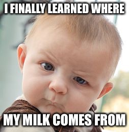 Skeptical Baby | I FINALLY LEARNED WHERE; MY MILK COMES FROM | image tagged in memes,skeptical baby | made w/ Imgflip meme maker