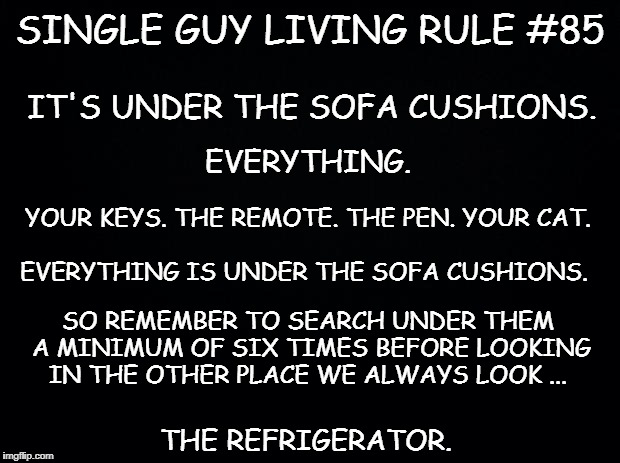 Black background | SINGLE GUY LIVING RULE #85; IT'S UNDER THE SOFA CUSHIONS. EVERYTHING. YOUR KEYS. THE REMOTE. THE PEN. YOUR CAT. EVERYTHING IS UNDER THE SOFA CUSHIONS. SO REMEMBER TO SEARCH UNDER THEM A MINIMUM OF SIX TIMES BEFORE LOOKING IN THE OTHER PLACE WE ALWAYS LOOK ... THE REFRIGERATOR. | image tagged in black background | made w/ Imgflip meme maker