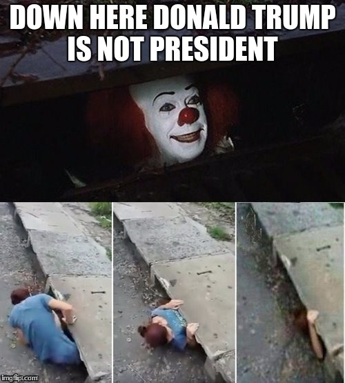 Pennywise | DOWN HERE DONALD TRUMP IS NOT PRESIDENT | image tagged in pennywise | made w/ Imgflip meme maker