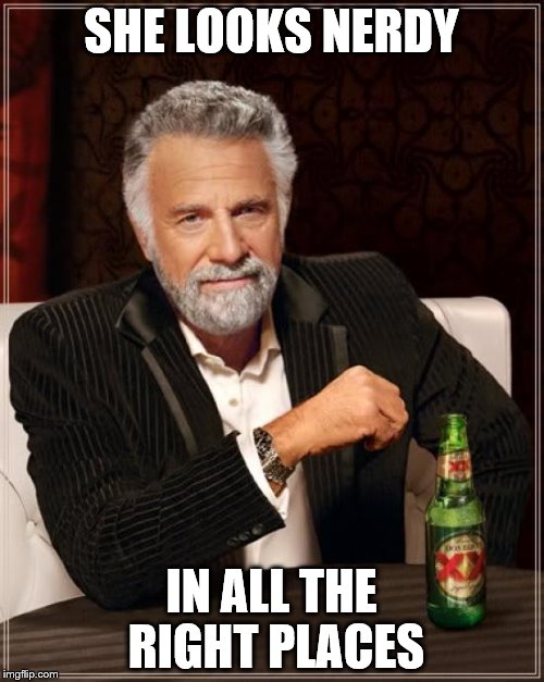 The Most Interesting Man In The World Meme | SHE LOOKS NERDY IN ALL THE RIGHT PLACES | image tagged in memes,the most interesting man in the world | made w/ Imgflip meme maker