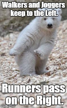 Poler Bear To The Left | Walkers and Joggers keep to the Left. Runners pass on the Right. | image tagged in poler bear to the left | made w/ Imgflip meme maker