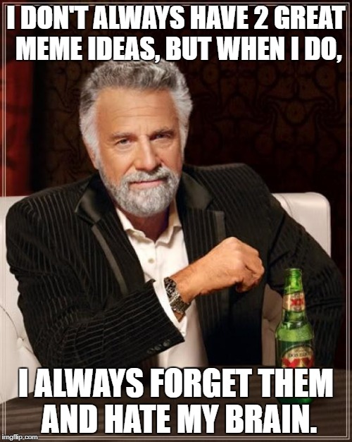 I did it not once, but twice!! | I DON'T ALWAYS HAVE 2 GREAT MEME IDEAS, BUT WHEN I DO, I ALWAYS FORGET THEM AND HATE MY BRAIN. | image tagged in memes,the most interesting man in the world,frustration,why,hate my brain | made w/ Imgflip meme maker