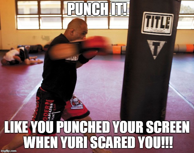 hi | PUNCH IT! LIKE YOU PUNCHED YOUR SCREEN WHEN YURI SCARED YOU!!! | image tagged in memes | made w/ Imgflip meme maker