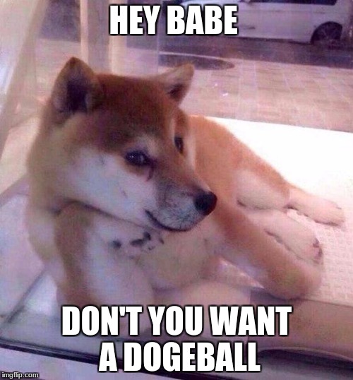 Flirting Doge | HEY BABE; DON'T YOU WANT A DOGEBALL | image tagged in flirting doge | made w/ Imgflip meme maker