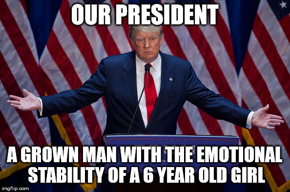 "Failing Liberal Suzy is so mean, she can't play with my dollies any more, MAGA!" | OUR PRESIDENT; A GROWN MAN WITH THE EMOTIONAL STABILITY OF A 6 YEAR OLD GIRL | image tagged in donald trump,maga,sad but true,trump twitter | made w/ Imgflip meme maker