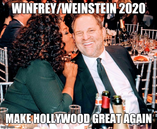 Winfrey/Weinstein 2020 | WINFREY/WEINSTEIN 2020; MAKE HOLLYWOOD GREAT AGAIN | image tagged in oprah | made w/ Imgflip meme maker