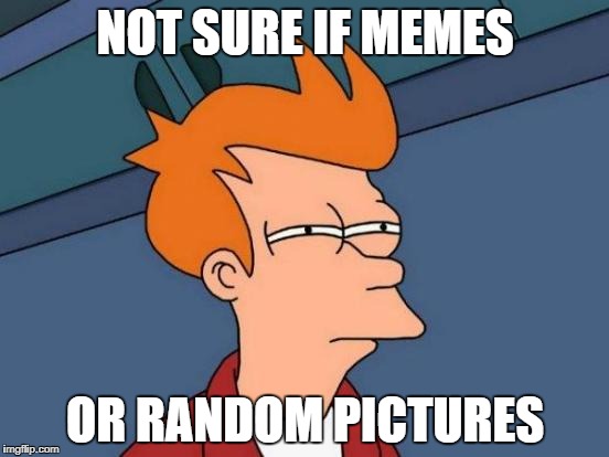Memes or Random Pictures? Not sure. | NOT SURE IF MEMES; OR RANDOM PICTURES | image tagged in memes,futurama fry,random pictures | made w/ Imgflip meme maker