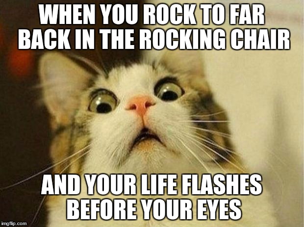 Scared Cat | WHEN YOU ROCK TO FAR BACK IN THE ROCKING CHAIR; AND YOUR LIFE FLASHES BEFORE YOUR EYES | image tagged in memes,scared cat | made w/ Imgflip meme maker
