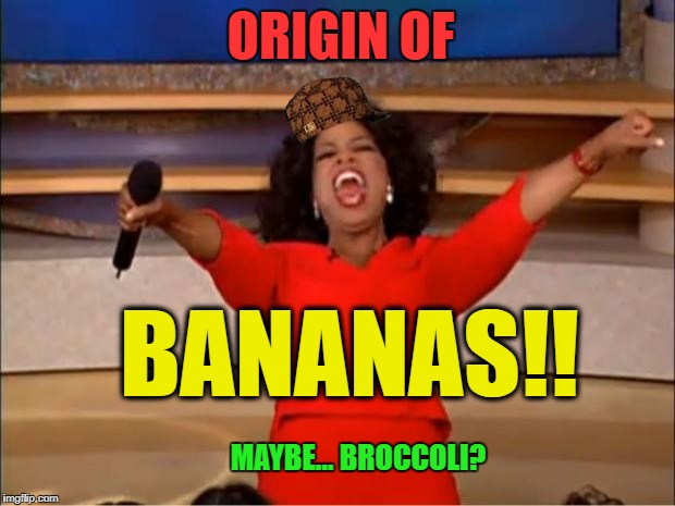 BANANAS!! | ORIGIN OF; BANANAS!! MAYBE... BROCCOLI? | image tagged in memes,oprah you get a,bananas,banana,broccoli,funny memes | made w/ Imgflip meme maker