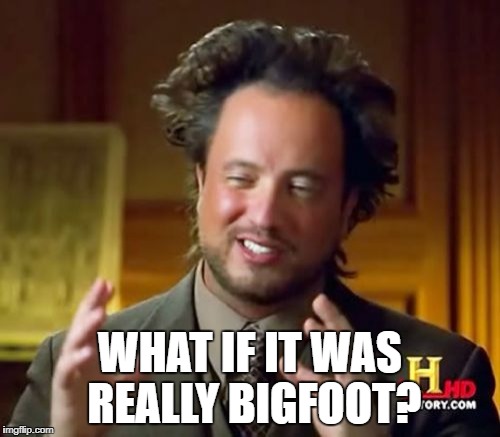 Ancient Aliens Meme | WHAT IF IT WAS REALLY BIGFOOT? | image tagged in memes,ancient aliens | made w/ Imgflip meme maker