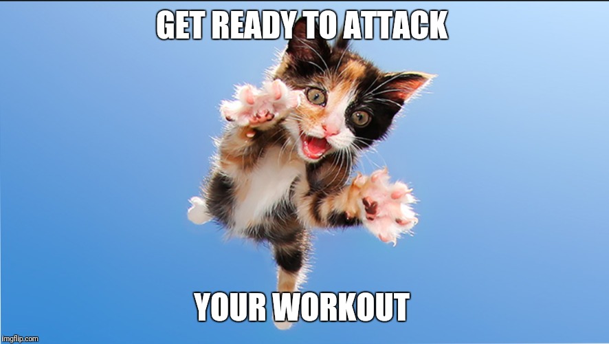 Cat attack  | GET READY TO ATTACK; YOUR WORKOUT | image tagged in workout,exercise,fitness | made w/ Imgflip meme maker