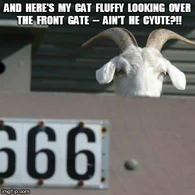 666 Fluffy the Cat | AND  HERE'S  MY  CAT  FLUFFY  LOOKING  OVER  THE  FRONT  GATE  --  AIN'T  HE  CYUTE?!! | image tagged in cats,cat,goat,satan | made w/ Imgflip meme maker