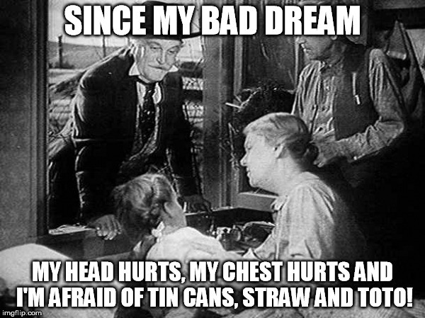 Wizard Of Oz | SINCE MY BAD DREAM; MY HEAD HURTS, MY CHEST HURTS AND I'M AFRAID OF TIN CANS, STRAW AND TOTO! | image tagged in wizard of oz | made w/ Imgflip meme maker