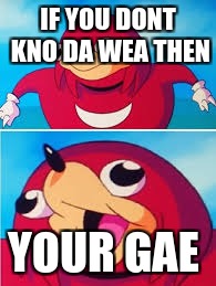 autistic knuckles  | IF YOU DONT KNO DA WEA THEN; YOUR GAE | image tagged in knuckles,kno da wae | made w/ Imgflip meme maker