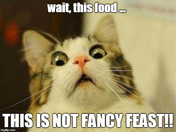 Scared Cat Meme | wait, this food ... THIS IS NOT FANCY FEAST!! | image tagged in memes,scared cat | made w/ Imgflip meme maker